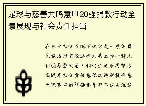 足球与慈善共鸣意甲20强捐款行动全景展现与社会责任担当