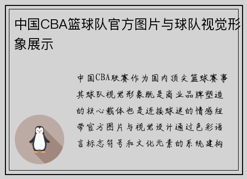 中国CBA篮球队官方图片与球队视觉形象展示
