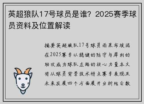 英超狼队17号球员是谁？2025赛季球员资料及位置解读